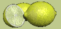 LEMON DROPS BEAGLES